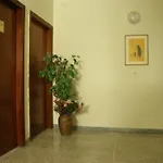 Hotel Cavi *